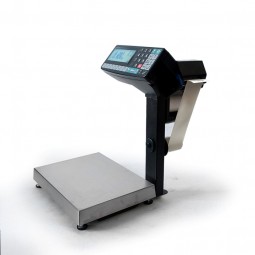 Фасовочные печатающие весы-регистраторы с отделительной пластиной МК-6.2-RP10-1