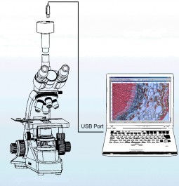 Микроскоп тринокулярный Микромед 2 вар. 3-20
